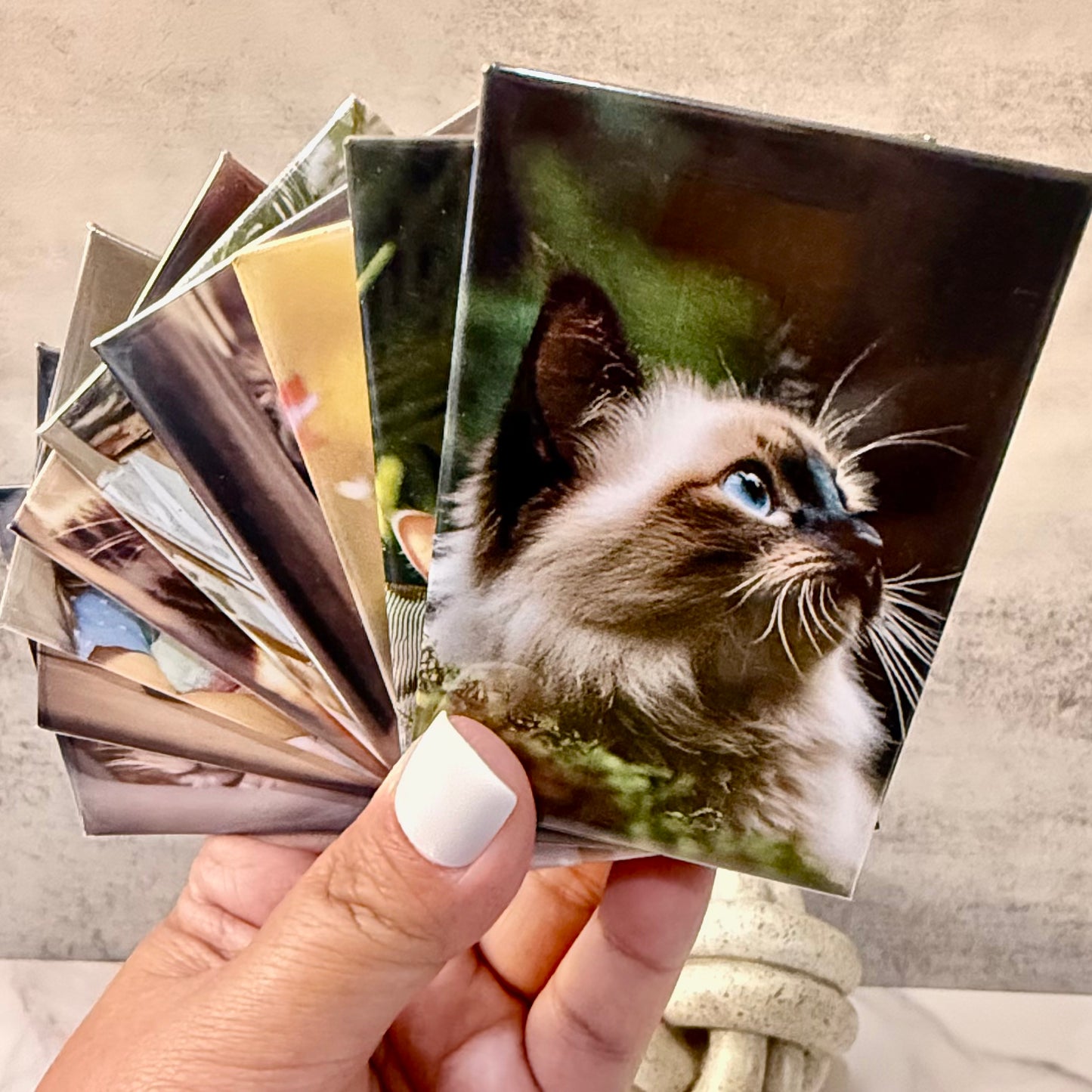 CUSTOM BADGE PHOTO MAGNETS